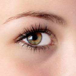 Permanent Makeup Newcastle Permanent Makeup Newcastle